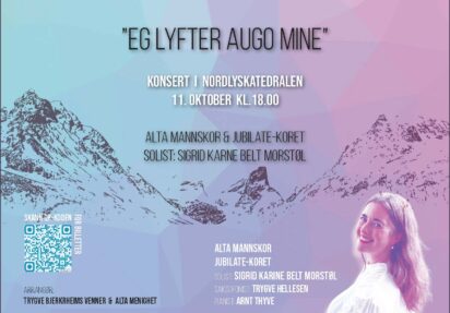 Trygve Bjerkrheim´s konsert i Nordlyskatedralen